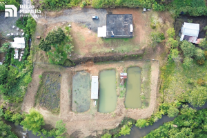 CASA CON PECERAS DE TILAPIA MEDIA HECTAREA Rizzo Propiedades Vende