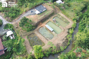 CASA CON PECERAS DE TILAPIA MEDIA HECTAREA Rizzo Propiedades Vende